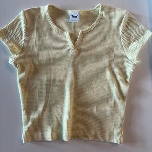 Aritzia tee
